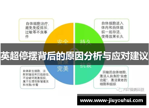 英超停摆背后的原因分析与应对建议 英超停摆背后的原因分析与应对建议