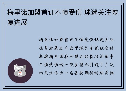 梅里诺加盟首训不慎受伤 球迷关注恢复进展