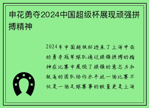 申花勇夺2024中国超级杯展现顽强拼搏精神